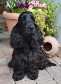 Unsere süsse "kleine" Tricia