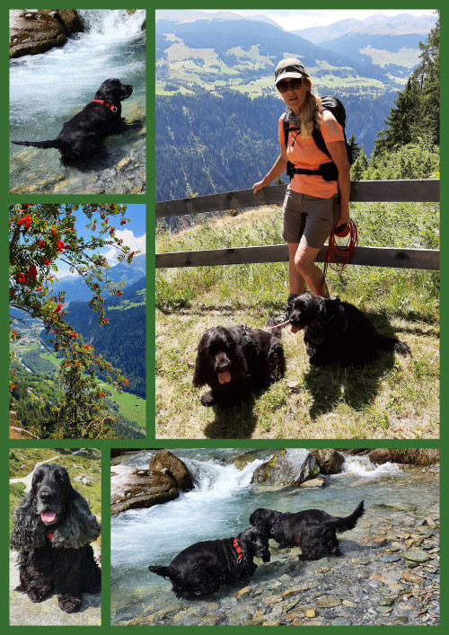 Website-aktuell2