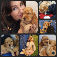 20221125_182517_duke