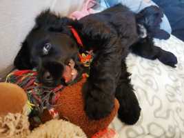 IMG-20221211-WA0010